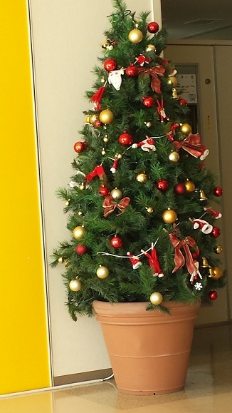 20131214_111619.jpg