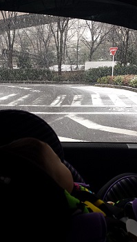 20150130_091816.jpg