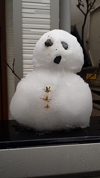 20150130_155552.jpg