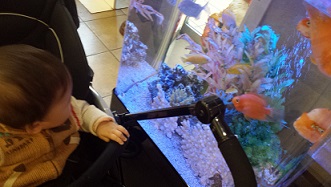 20150203_155232.jpg