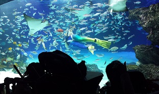 20150529_113456.jpg