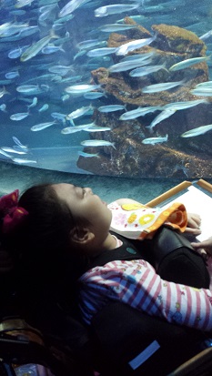20150529_114349.jpg