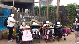 20150529_115049.jpg