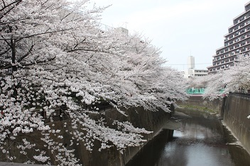 IMG_4786.JPG